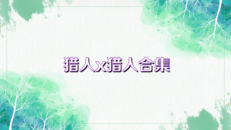 猎人x猎人合集