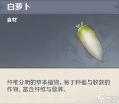 原神白萝卜全收集攻略速览