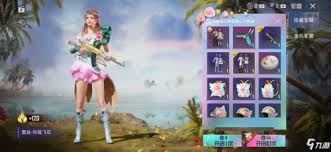 和平精英玲珑飞花皮肤入手价值分析