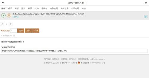 如何找回遗忘的IDM序列号：实用指南与解决方案