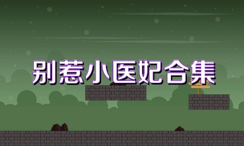别惹小医妃合集