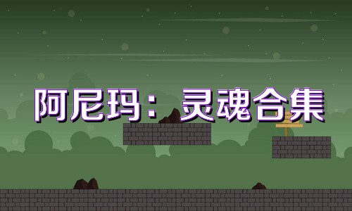 阿尼玛：灵魂合集