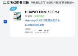 纯血鸿蒙系统退回先前版本方法