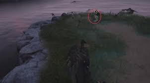 燕云十六声游戏攻略：鸢影相随奇遇任务完成步骤详解