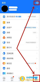 如何设置支付宝登录密码？详细步骤指南