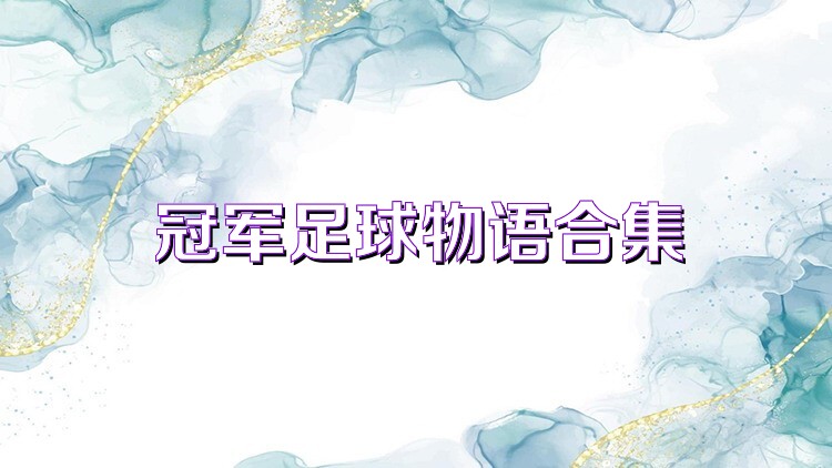 冠军足球物语合集