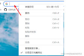 谷歌浏览器网址直达