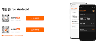 向日葵远程控制软件使用指南