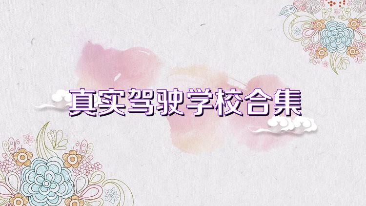 真实驾驶学校合集