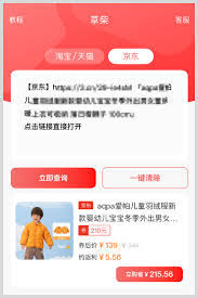 2025京东年货节补贴券领取指南