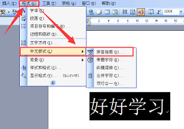 Word提取拼音方法