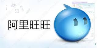 解决阿里旺旺登录问题：详细故障排查指南及登录失败原因分析