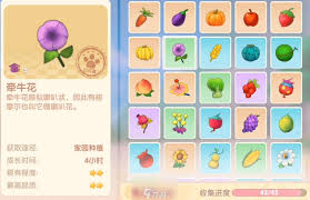 摩尔庄园浆果浓汤食谱：轻松几步做出美味佳肴