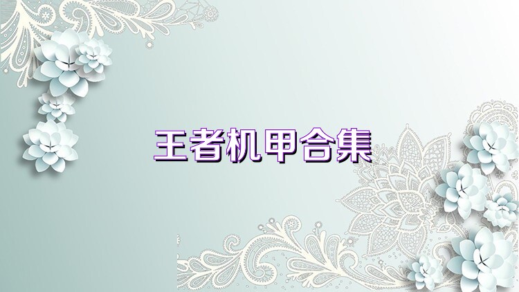 王者机甲合集