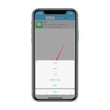 如何在苹果手机上开启微信CallKit功能
