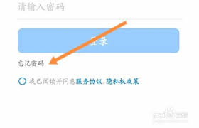 钉钉密码找回详细步骤与指南，快速提升找回效率