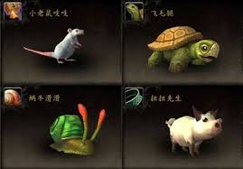 魔兽世界获取小宠物贪睡的威利的方法