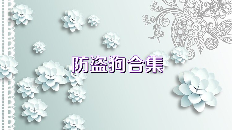 防盗狗合集