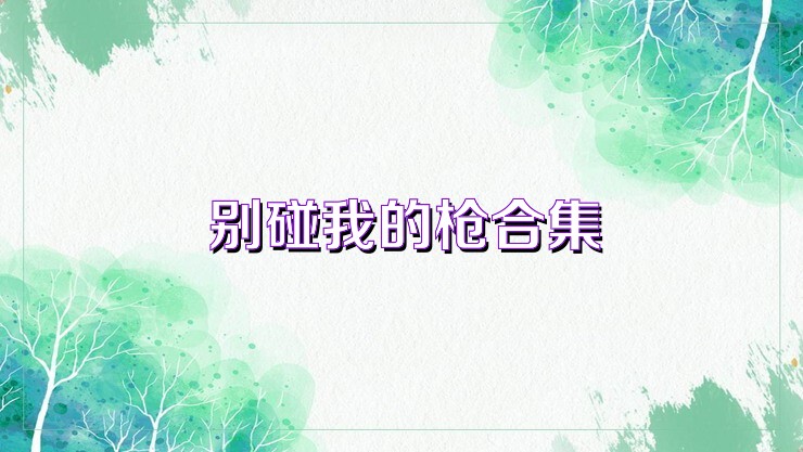 别碰我的枪合集