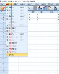 SPSS中小数转整数的方法简述