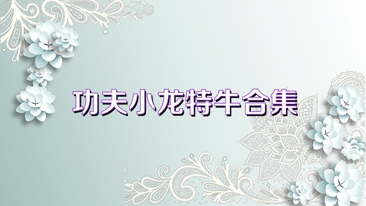 功夫小龙特牛合集