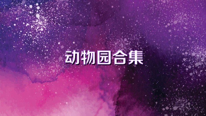 动物园合集