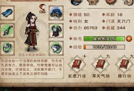 烟雨江湖天刀门玄虚刀法加点攻略，提升战力秘籍