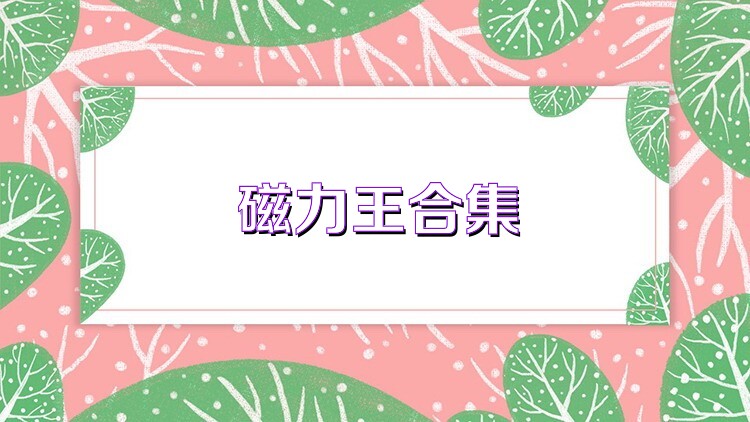 磁力王合集