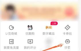 优酷查看在线设备登录方法指南