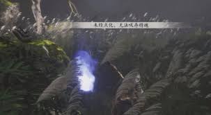 解决黑神话悟空精魄无法点化的办法