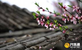 英雄联盟搞笑挑衅ID合集