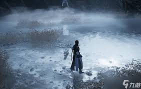 获取燕云十六声白狼主外观的方法指南