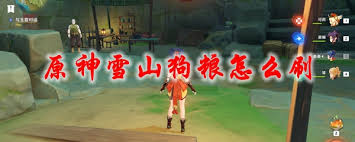 原神龙脊雪山狗粮刷新地点指南