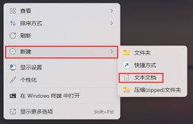 如何在Windows 11中恢复被隐藏的IE浏览器