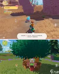 心动小镇2025年1月14日溜溜橡木和无暇萤石位置指南