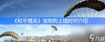 和平精英新宠物全面上线时间公告