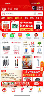 2025年京东年货节：探索独家优惠与惊喜活动