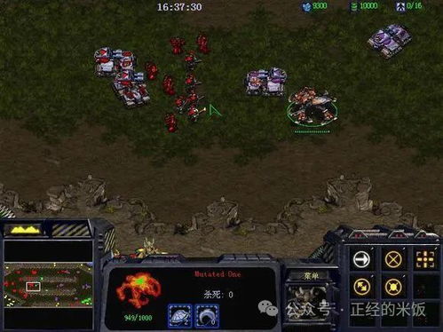 魔兽世界9.0新宠获取指南：烁光林枝囤果者小宠物获得方法