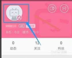 Bilibili连续包月取消指南