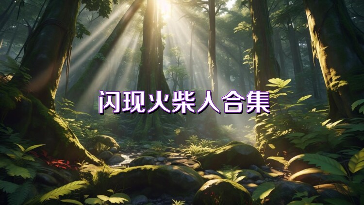 闪现火柴人合集