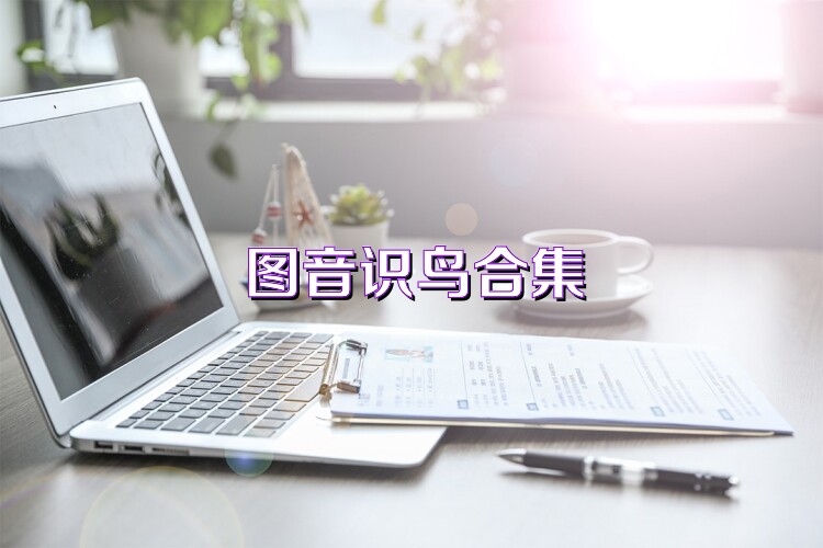 图音识鸟合集