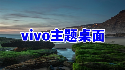 vivo主题桌面软件