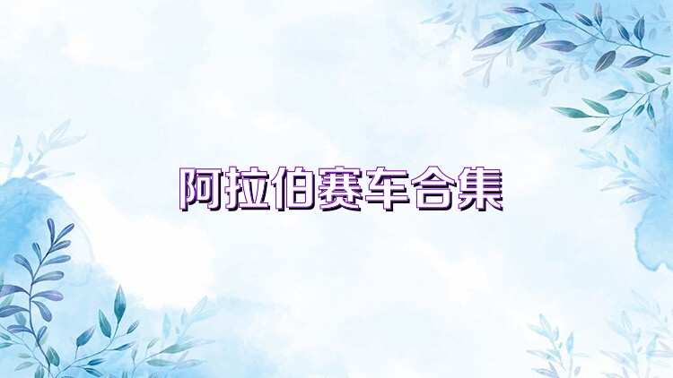 阿拉伯赛车合集