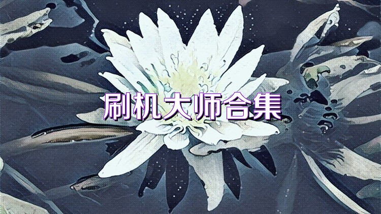 刷机大师合集