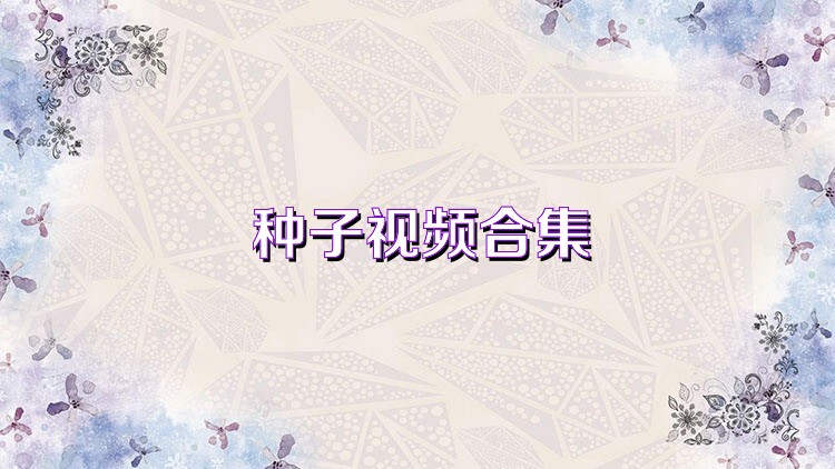 种子视频合集