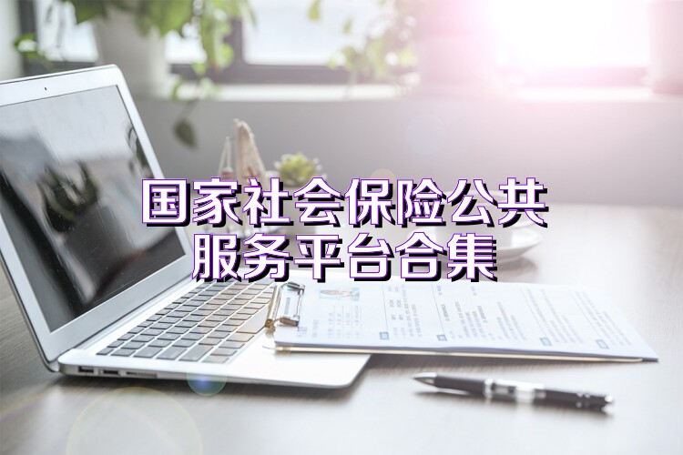 国家社会保险公共服务平台合集