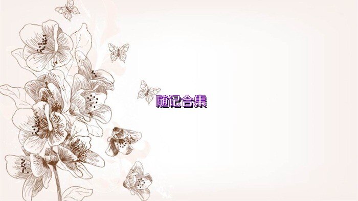 随记合集