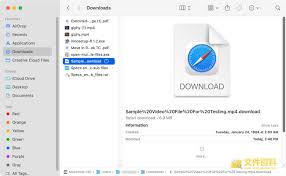 如何打开download下载的文件？快速解决方法