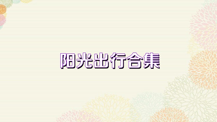 阳光出行合集