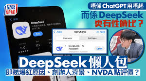 探索DeepSeek：这款创新工具的独特功能